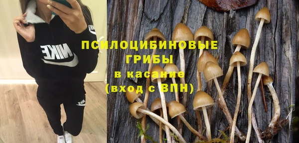 меф Алексин