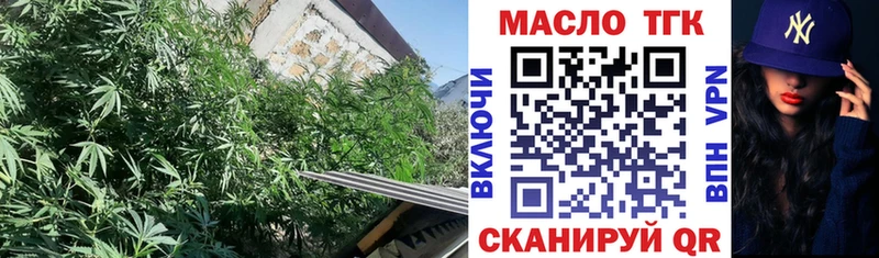 MEGA вход  Копейск  ТГК концентрат  как найти наркотики 