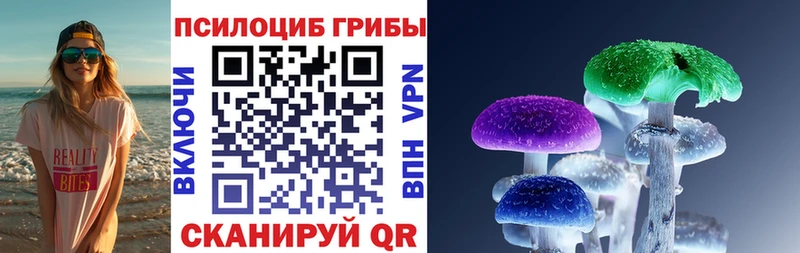Псилоцибиновые грибы Cubensis  Копейск 